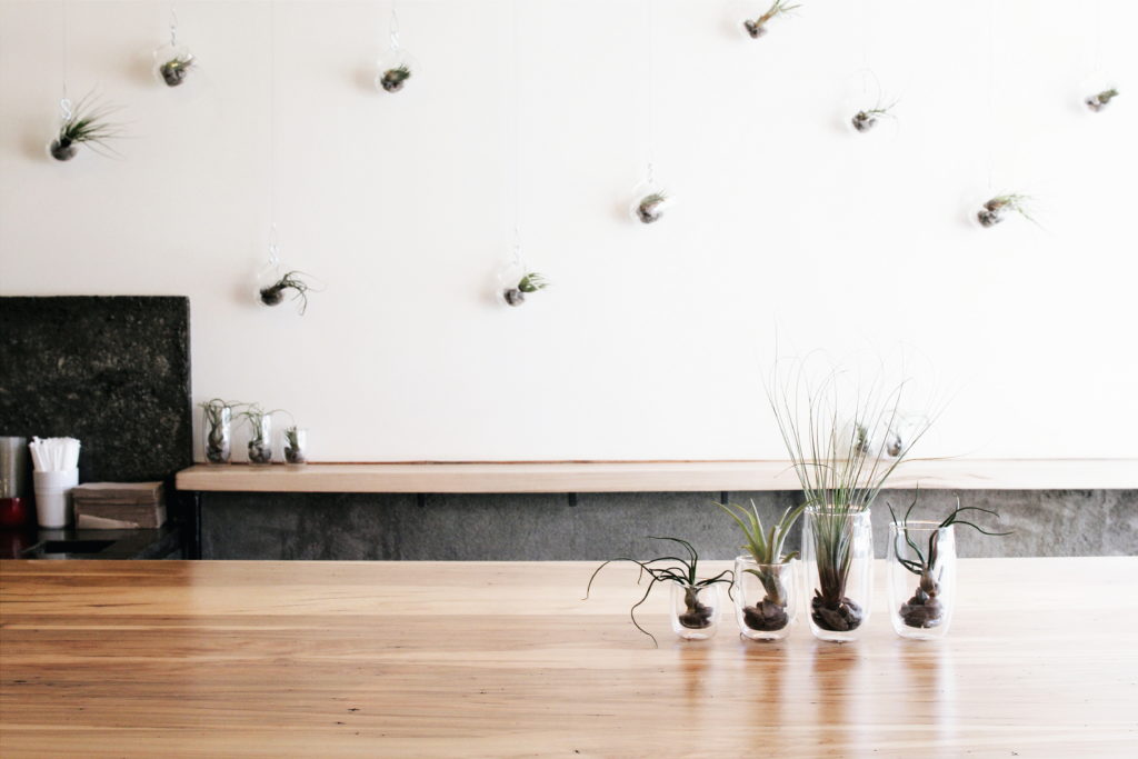 Hot Black Coffee: Interior