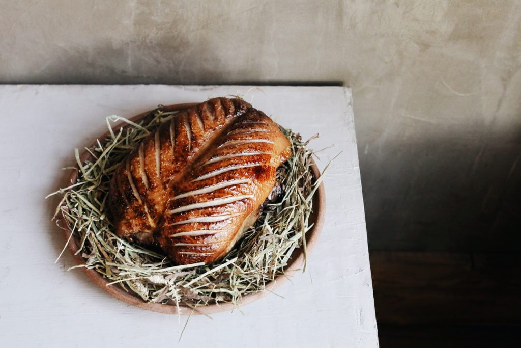 Canis: Duck for Two