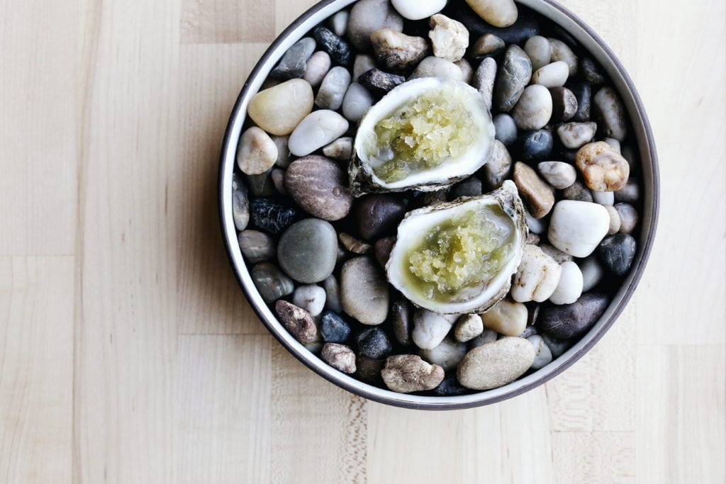 Canis: Oysters
