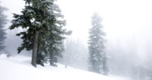 Whistler, British Columbia: Blackcomb Whistler Snowmobile Tour