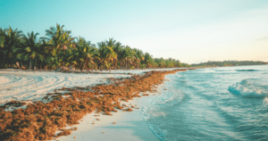 UNICO 20°87° Hotel Riviera Maya: Beach Access