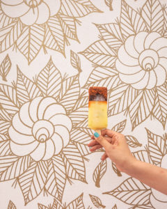 Miami: Morelia Gourmet Paletas