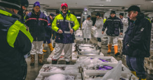 Auction at the Peterhead Fish Market