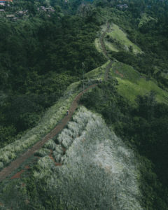 Bali, Ubud: Campuhan Ridge Walk
