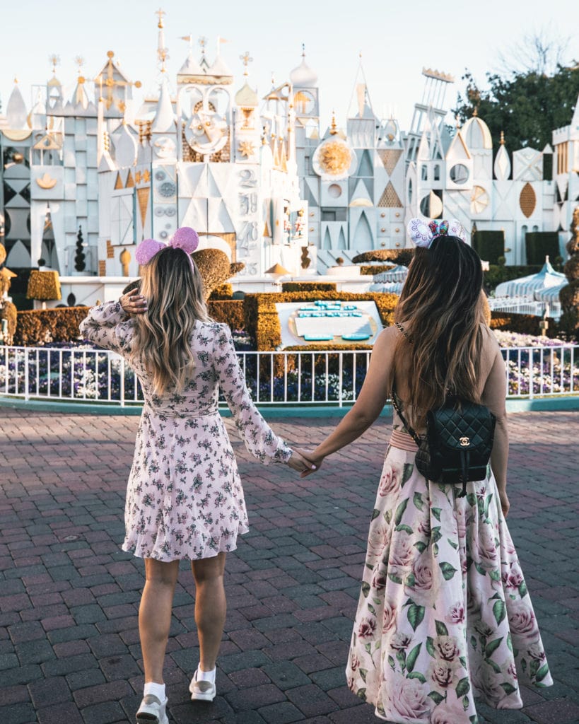 Disneyland: It's a Small World