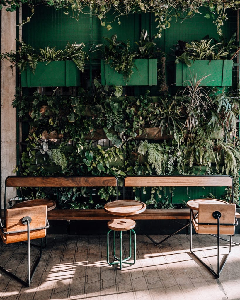 Los Angeles: Verve Coffee, Plant Wall
