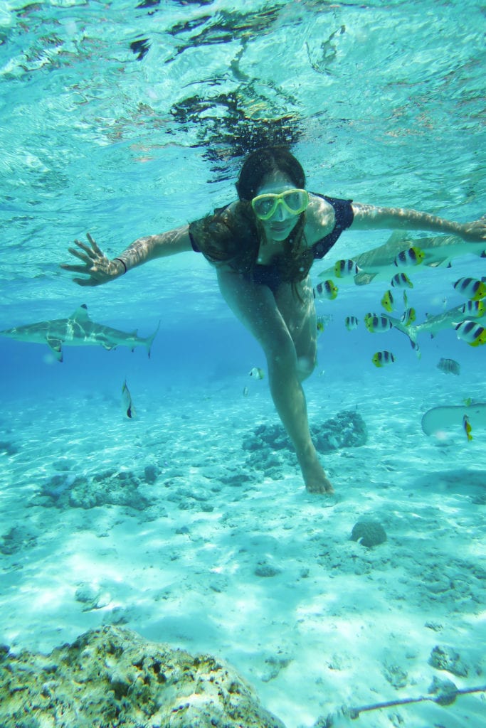 Bora Bora: Lagoon tour and swimming with sharks, stingrays, and tropical fish
