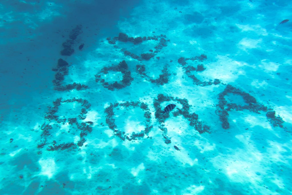 Bora Bora: Underwater snorkeling