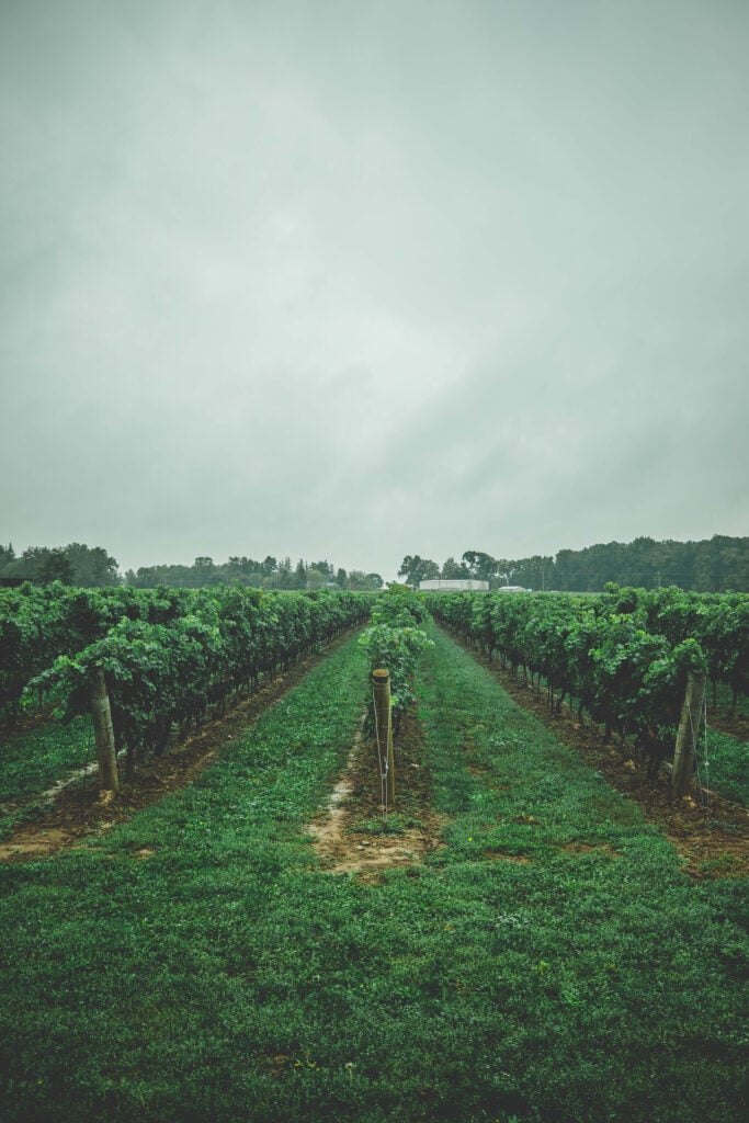 Allonsy Two Sisters Winery, Niagara On The Lake